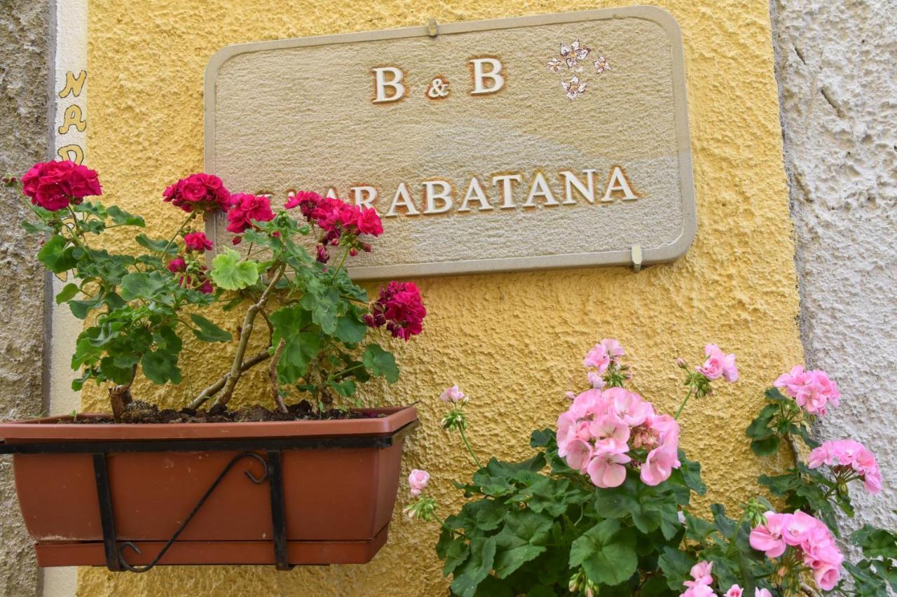 B&B L'Arabatana Pietrapertosa Kültér fotó